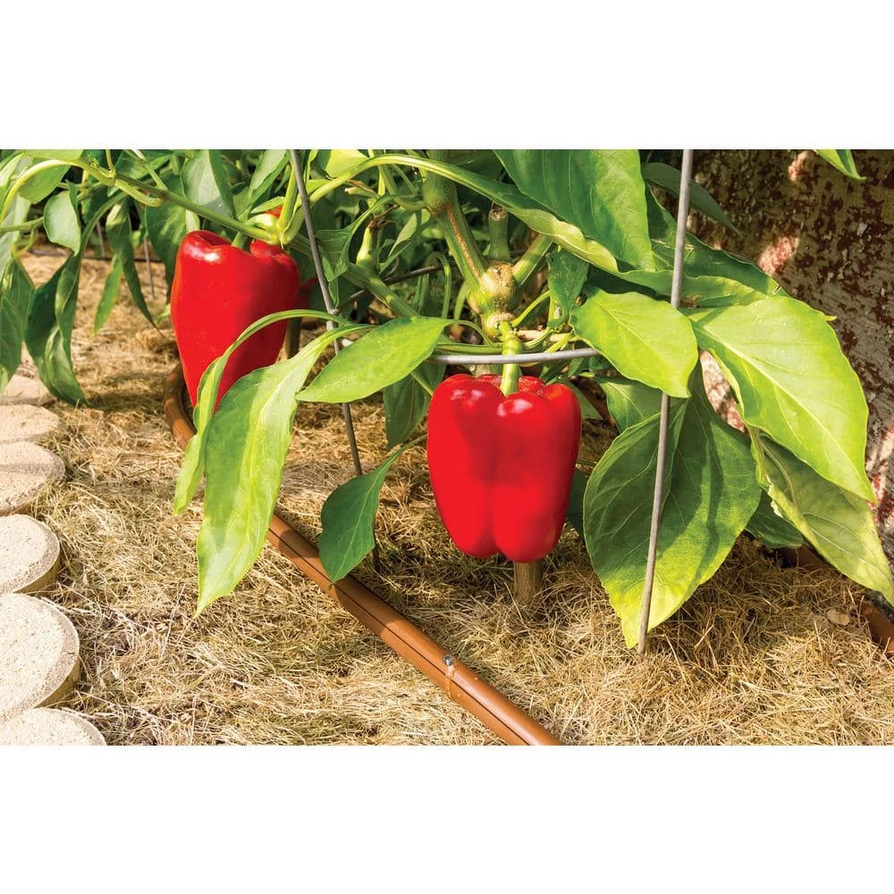 Rain Bird 0-2 GPH Adjustable Dripper (10-Pack) - Image 4