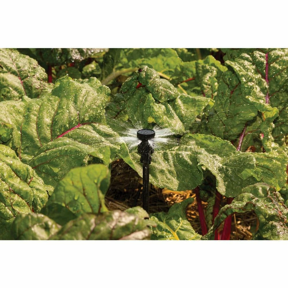 Rain Bird Square Pattern Spray, Full On Riser with Stake - Image 2