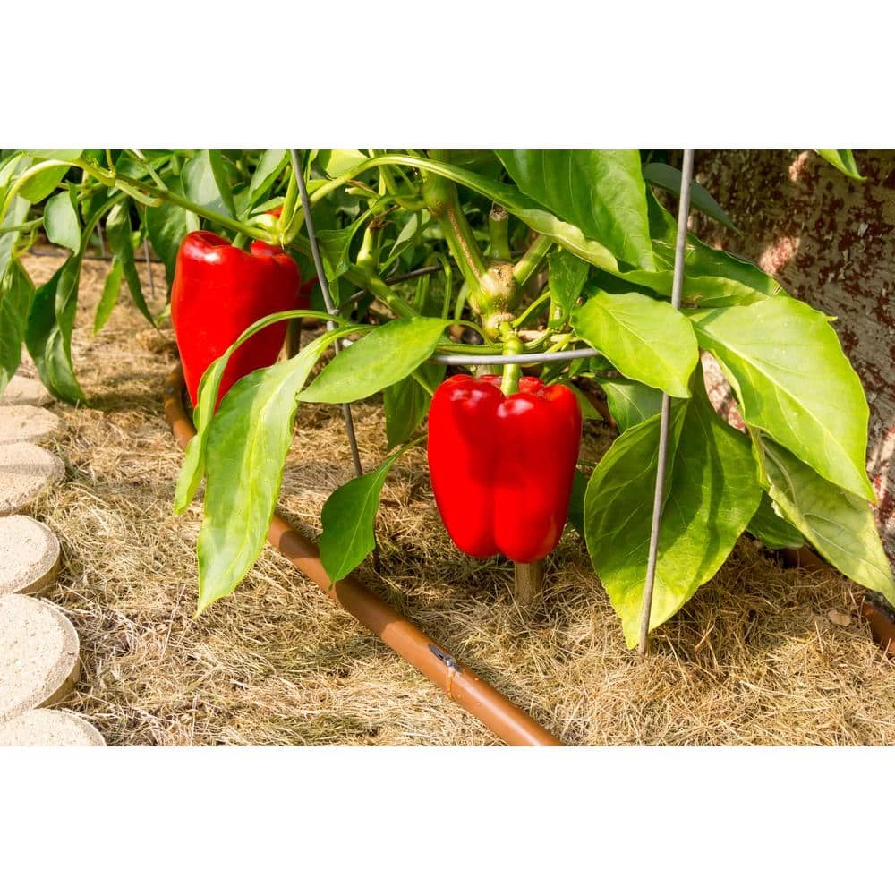 Rain Bird 1/2 in. x 250 ft. x 12 in. Emitter Tubing Spacing - Image 3