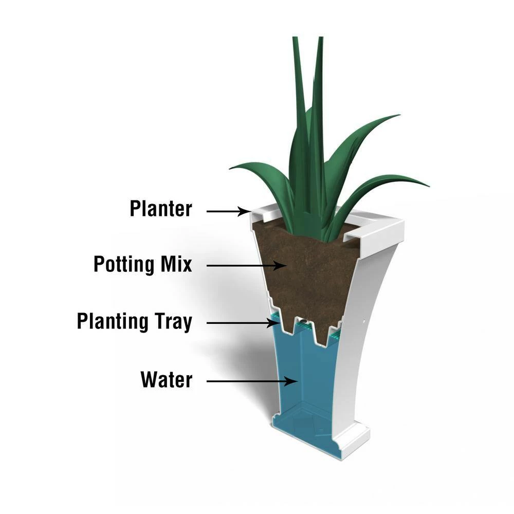 Mayne Bordeaux 28 in. Tall Self-Watering Espresso Polyethylene Planter - Image 6