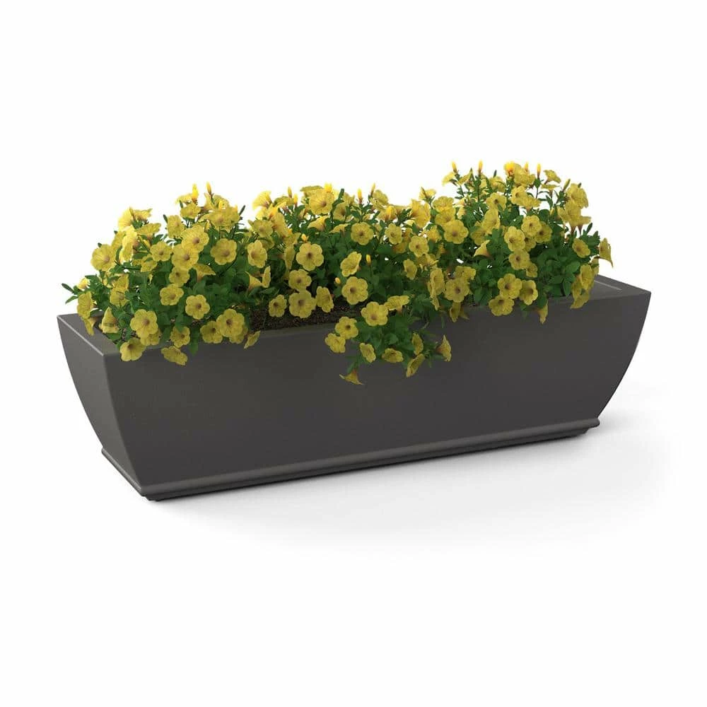 Mayne Acadia 36 in. x 11 in. Self-Watering Graphite Grey Polyethylene Window Box